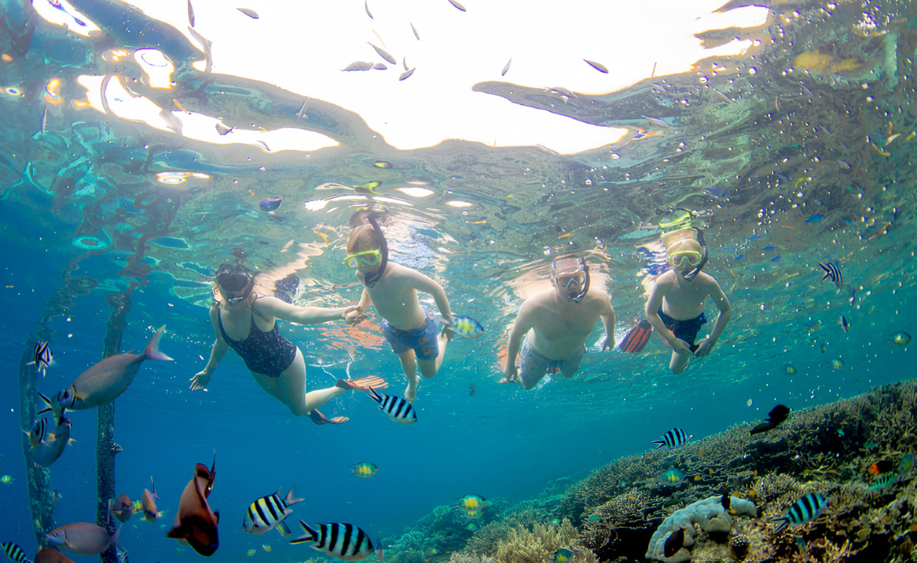 Penyewaan Alat Snorkeling